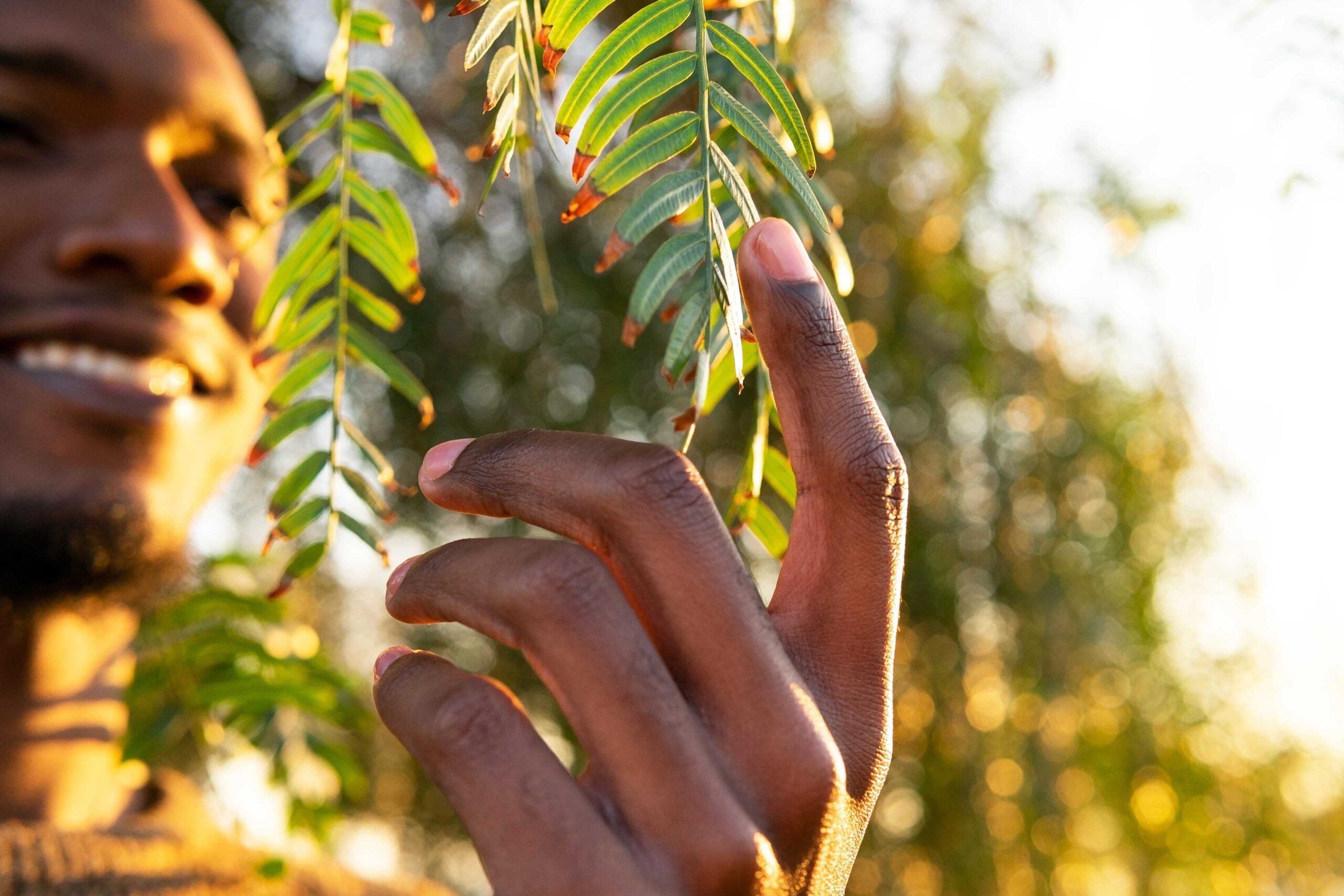 A man touching a leaf connecting with nature